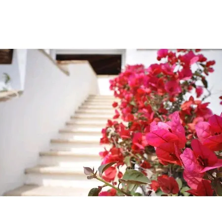 Casa Sardegna بودوني